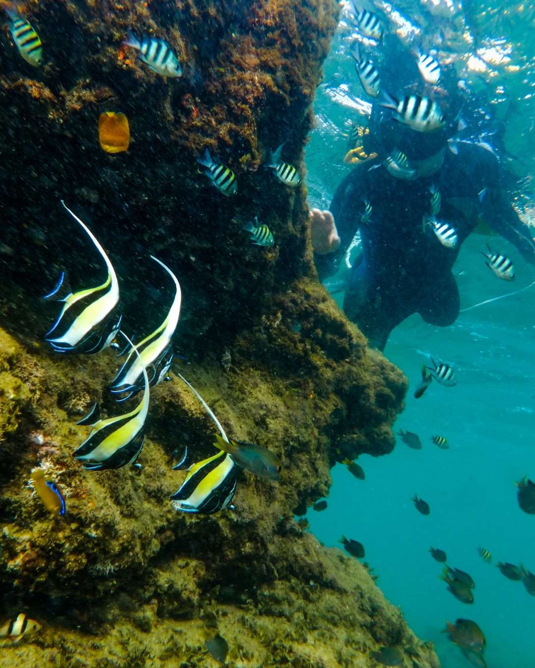 Beach and Bush Safari in St Lucia