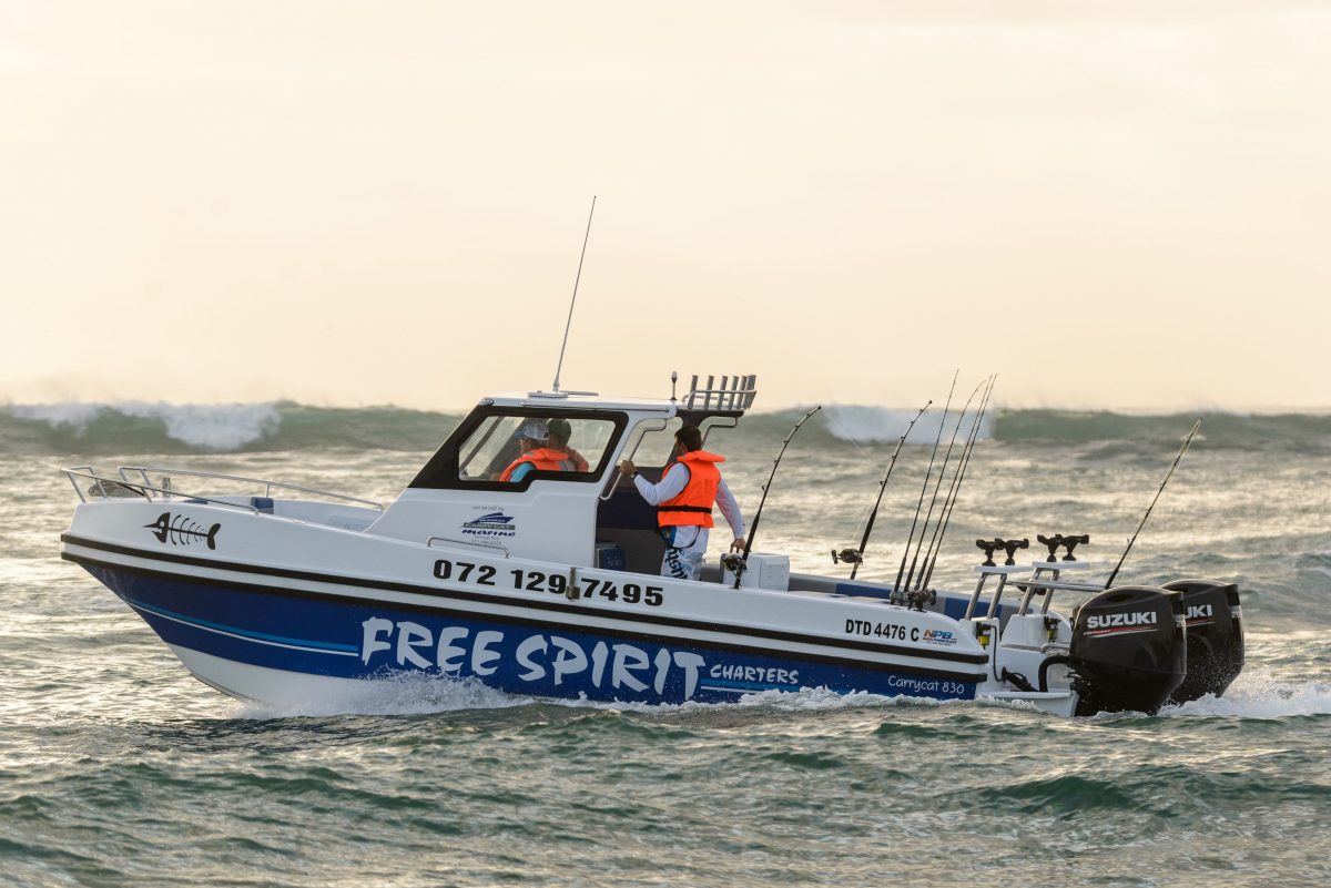 Shore excursion safari package from Richards Bay or Durban Port