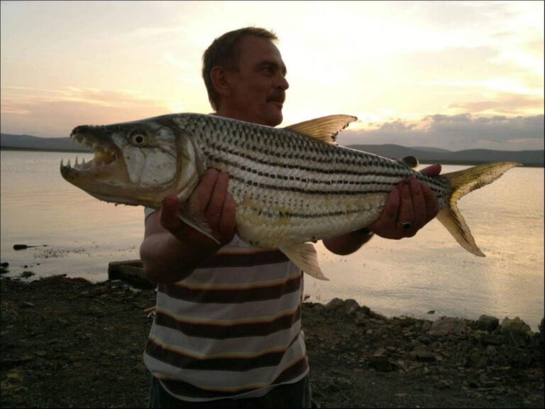 Tiger fishing safari in Africa targeting the legendary tiger fish