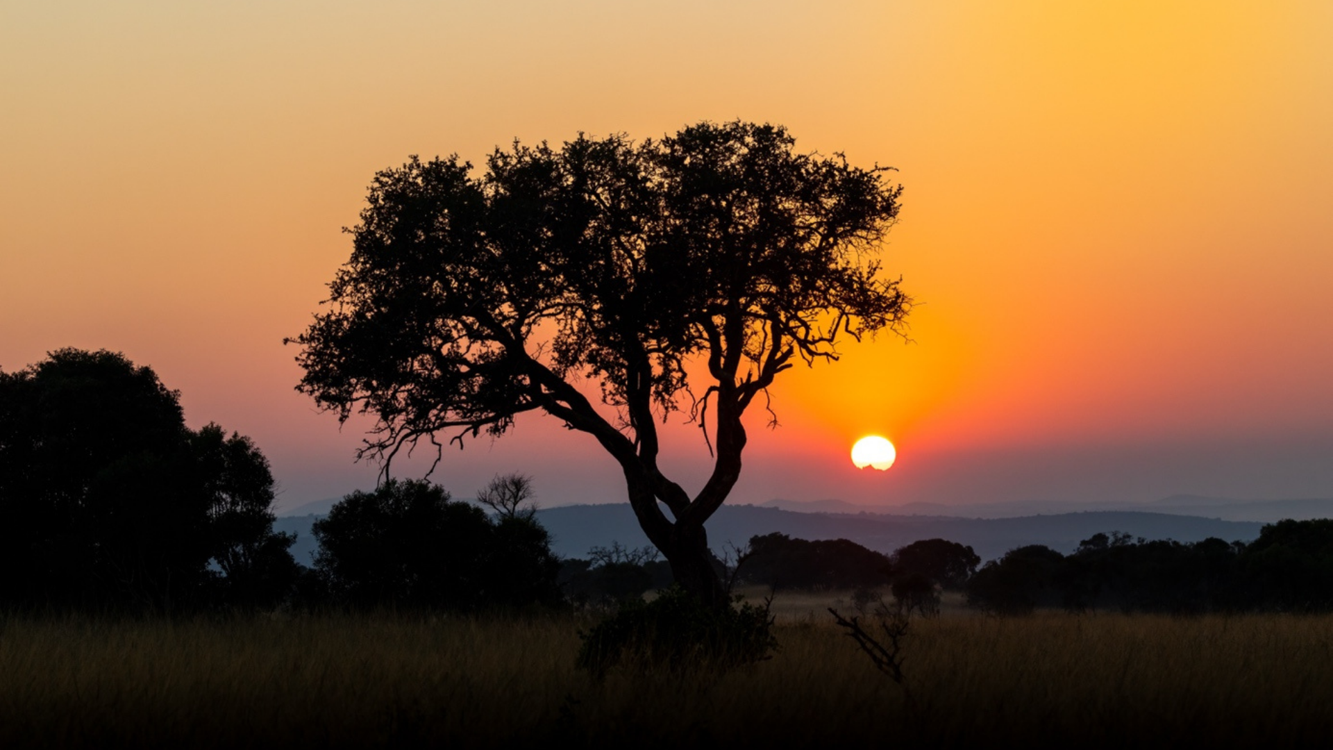Sunrise safari in KwaZulu-Natal