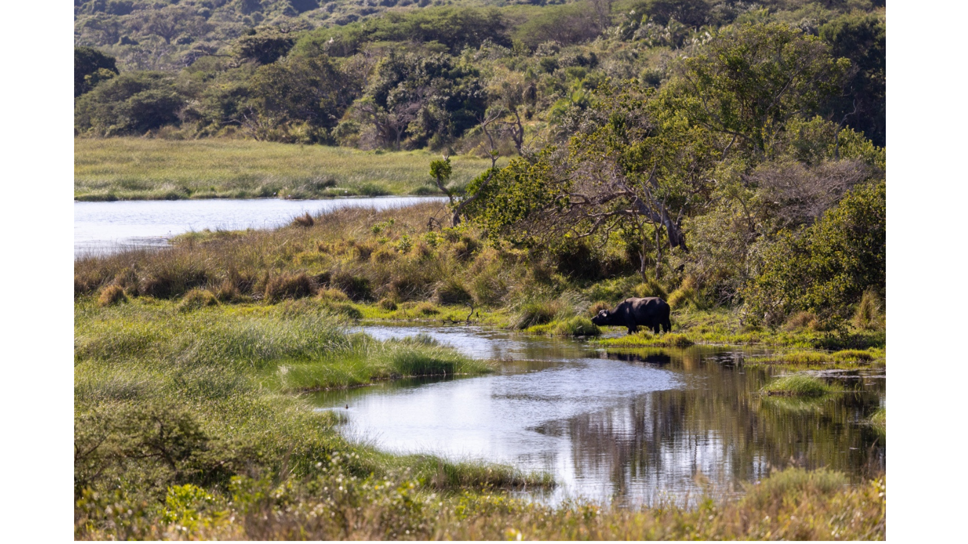iSimangaliso Wetland Park landscape